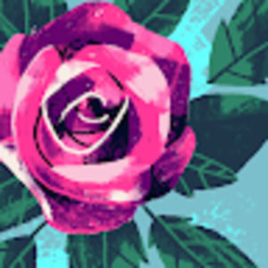 Meet your Posher, Jazzy